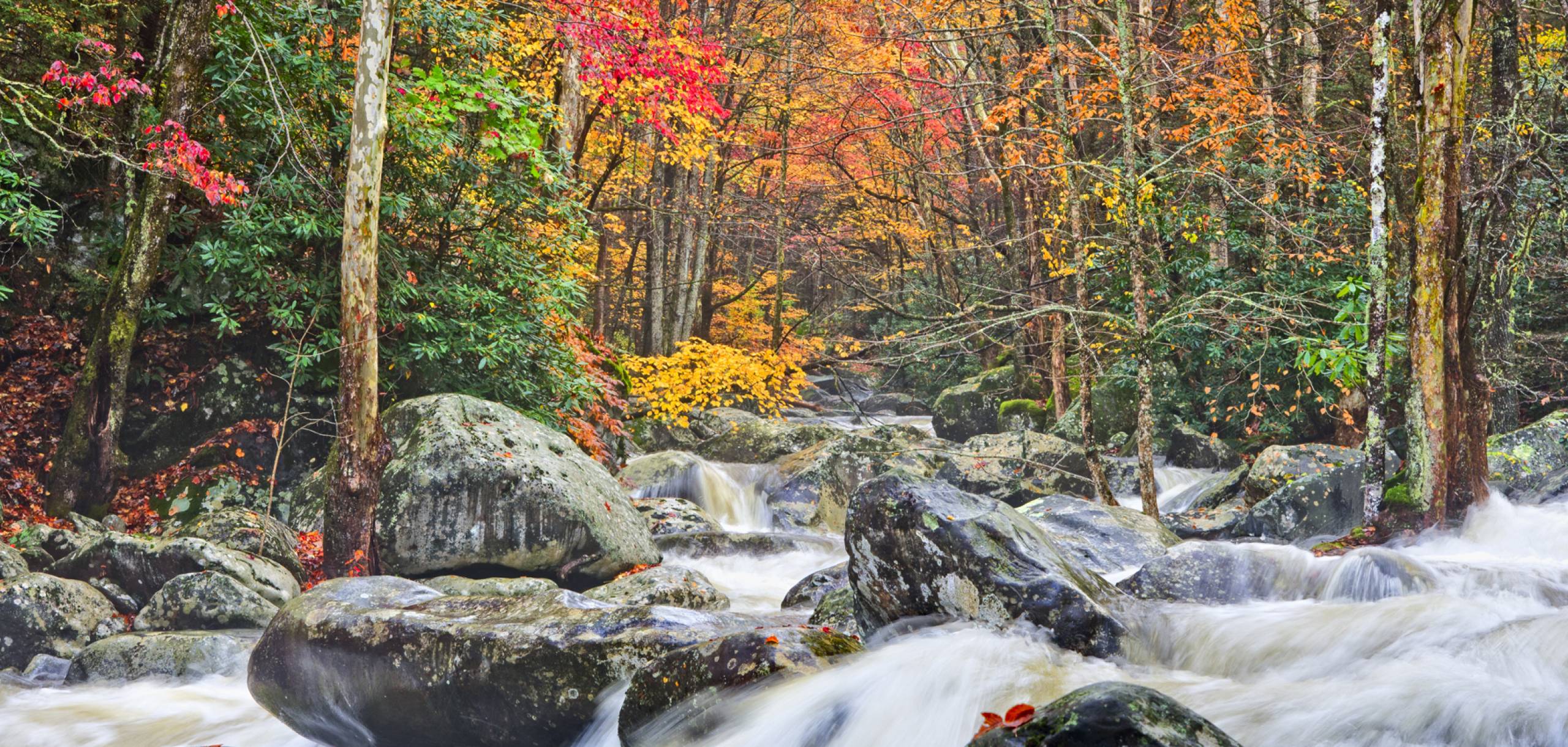 Autumn in Great Smoky Mountains National Park