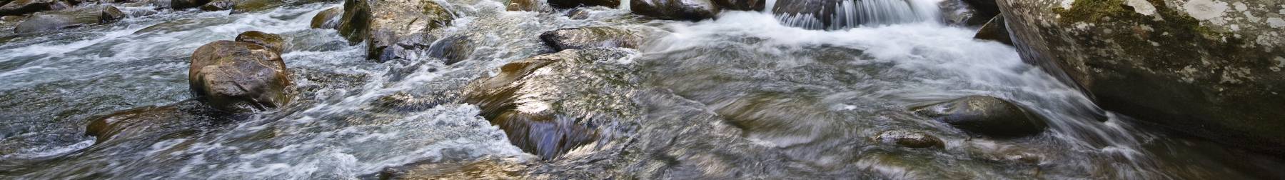 River in Great Smoky Mountains National Park