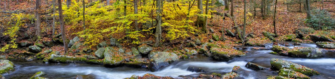 vacation rental specials in smoky mountain national park