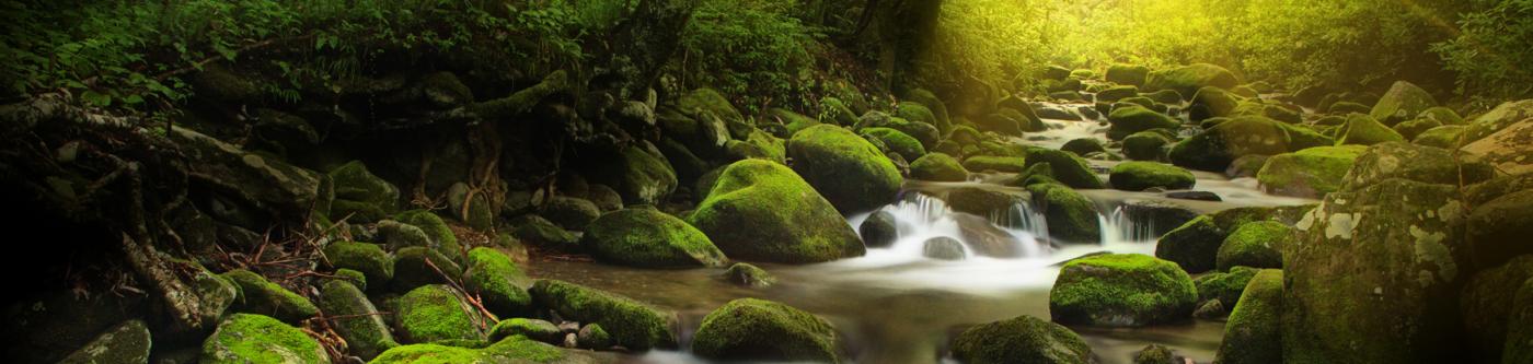 Smoky Mountain National Park